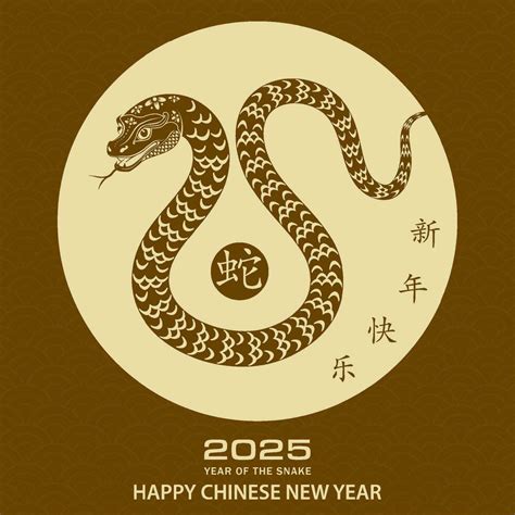 生肖:yqsiv-t7mxk= 龍|Chinese Zodiac: 2025 Year of Snake, 12 Animal Signs, Calculator